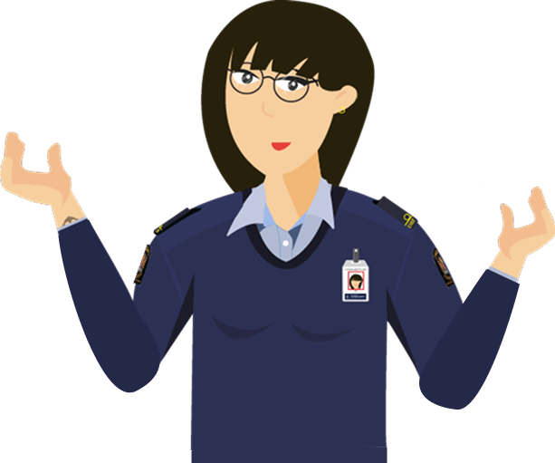 New Zealand Customs project preview